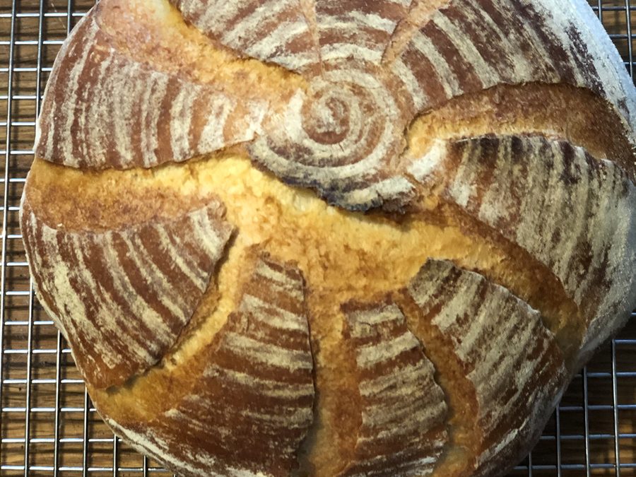 Scored artisan sourdough loaf